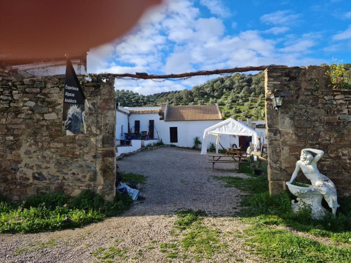 Experience Alpacas In Andalucia Appartement Córdoba Buitenkant foto