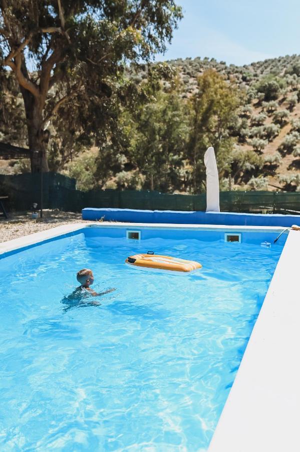 Experience Alpacas In Andalucia Appartement Córdoba Buitenkant foto