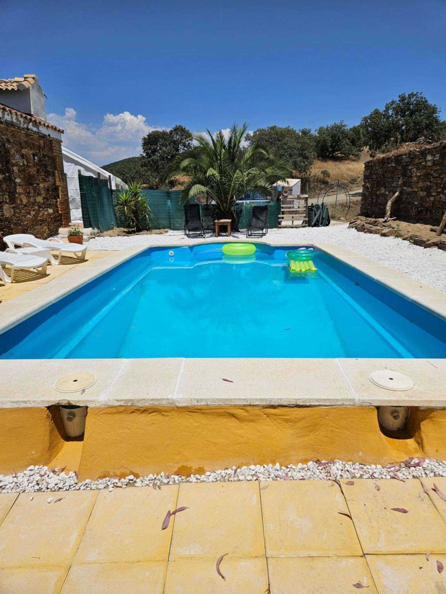 Experience Alpacas In Andalucia Appartement Córdoba Buitenkant foto