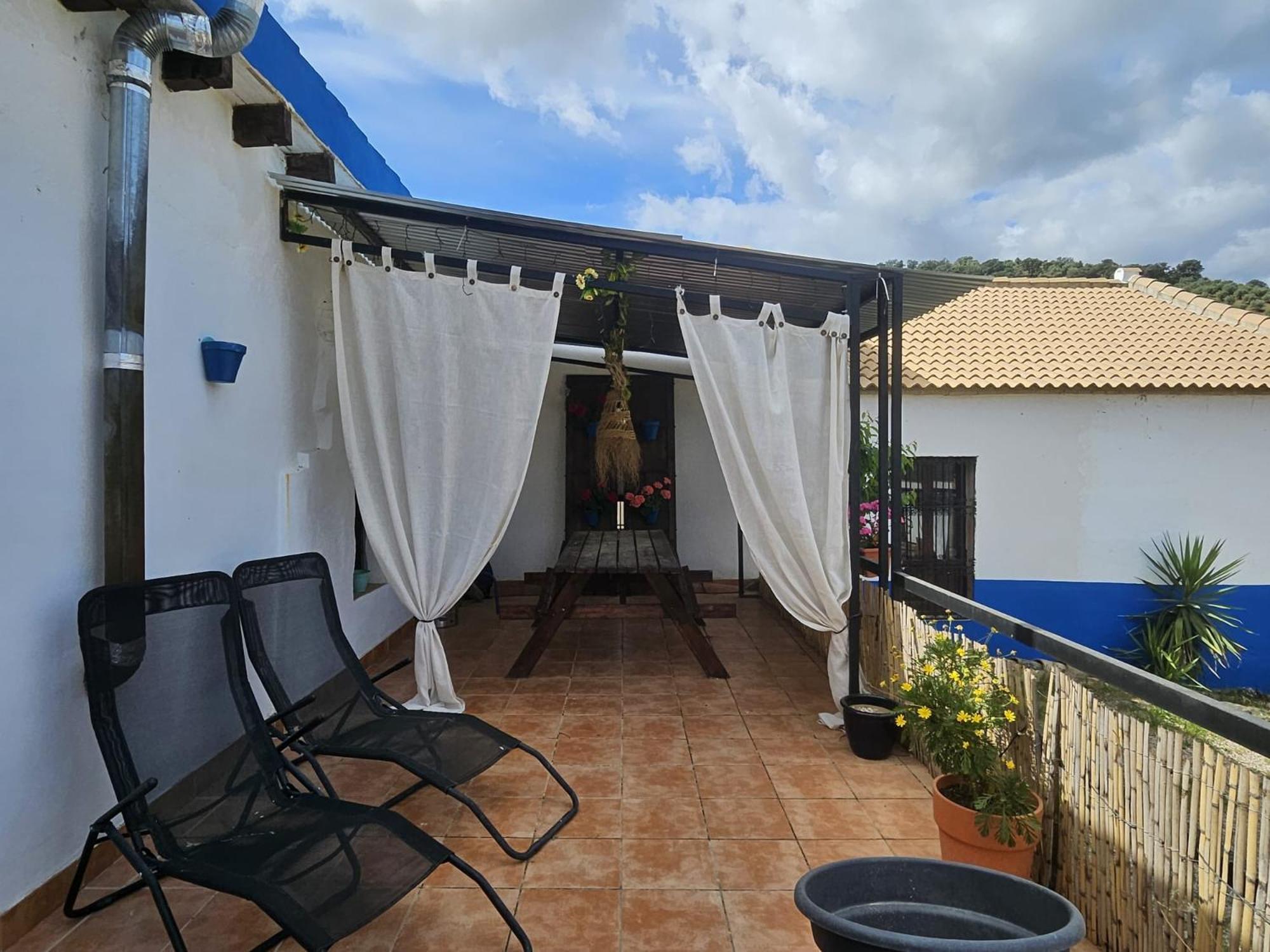 Experience Alpacas In Andalucia Appartement Córdoba Buitenkant foto