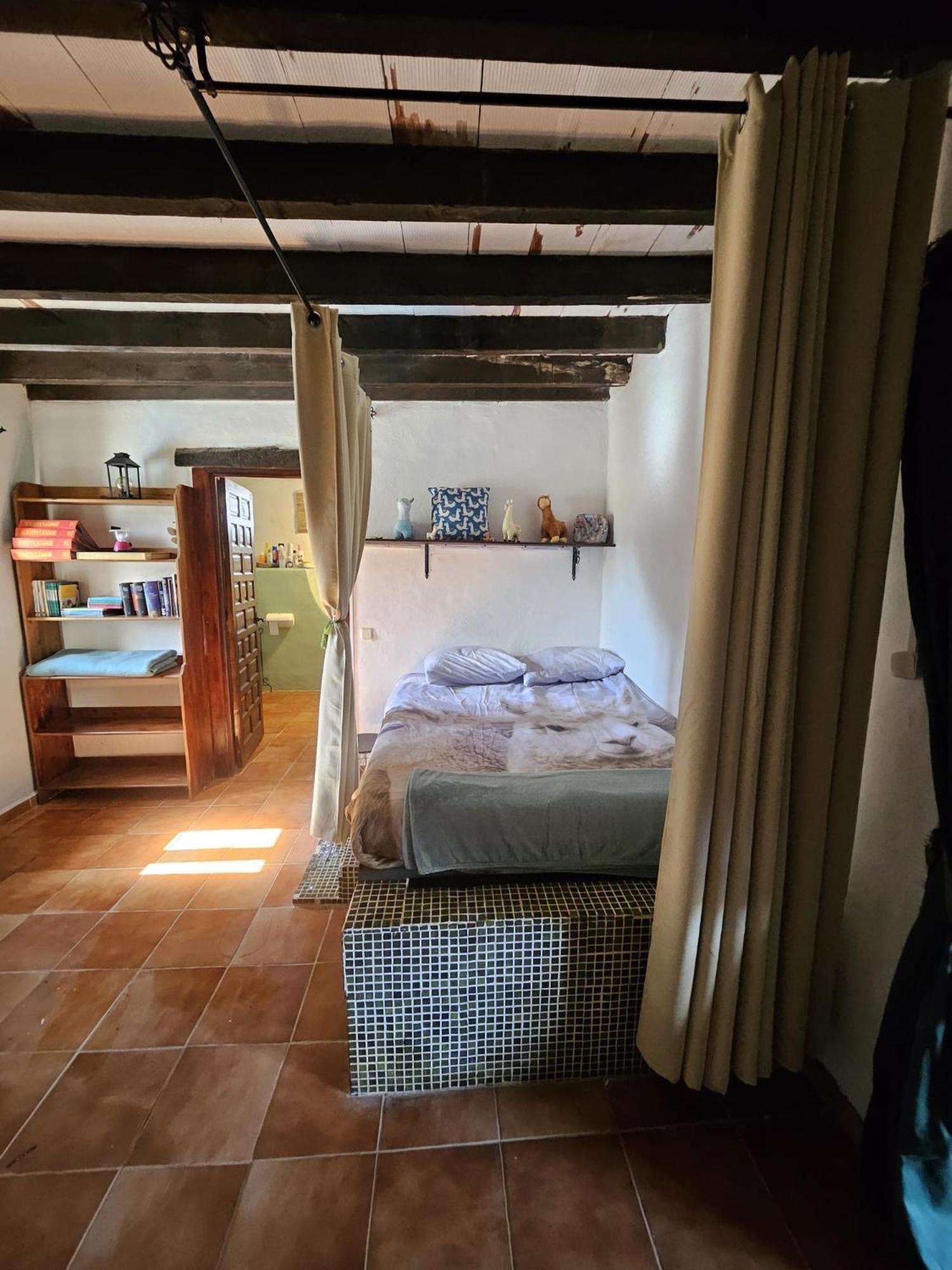 Experience Alpacas In Andalucia Appartement Córdoba Kamer foto