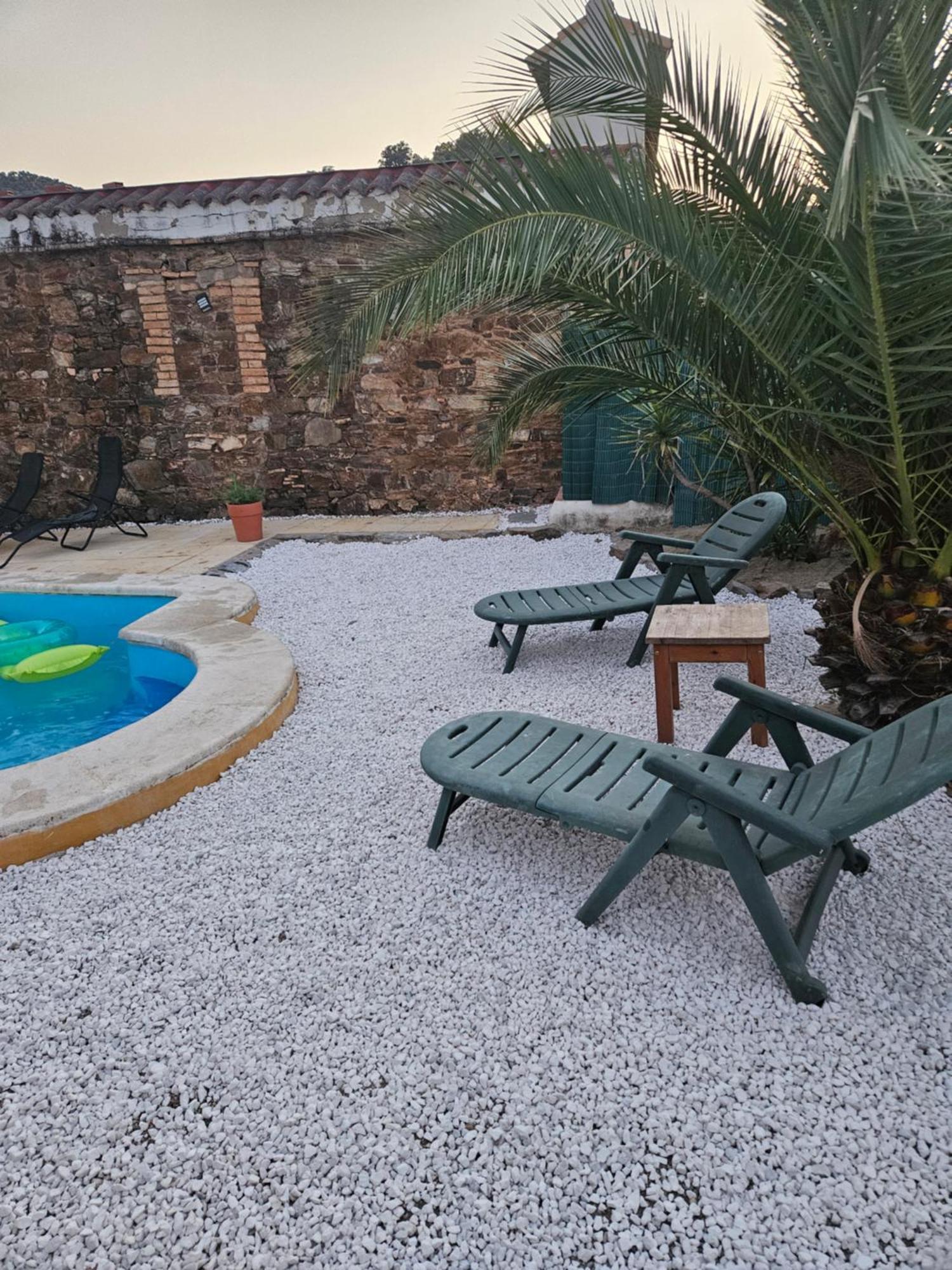 Experience Alpacas In Andalucia Appartement Córdoba Kamer foto