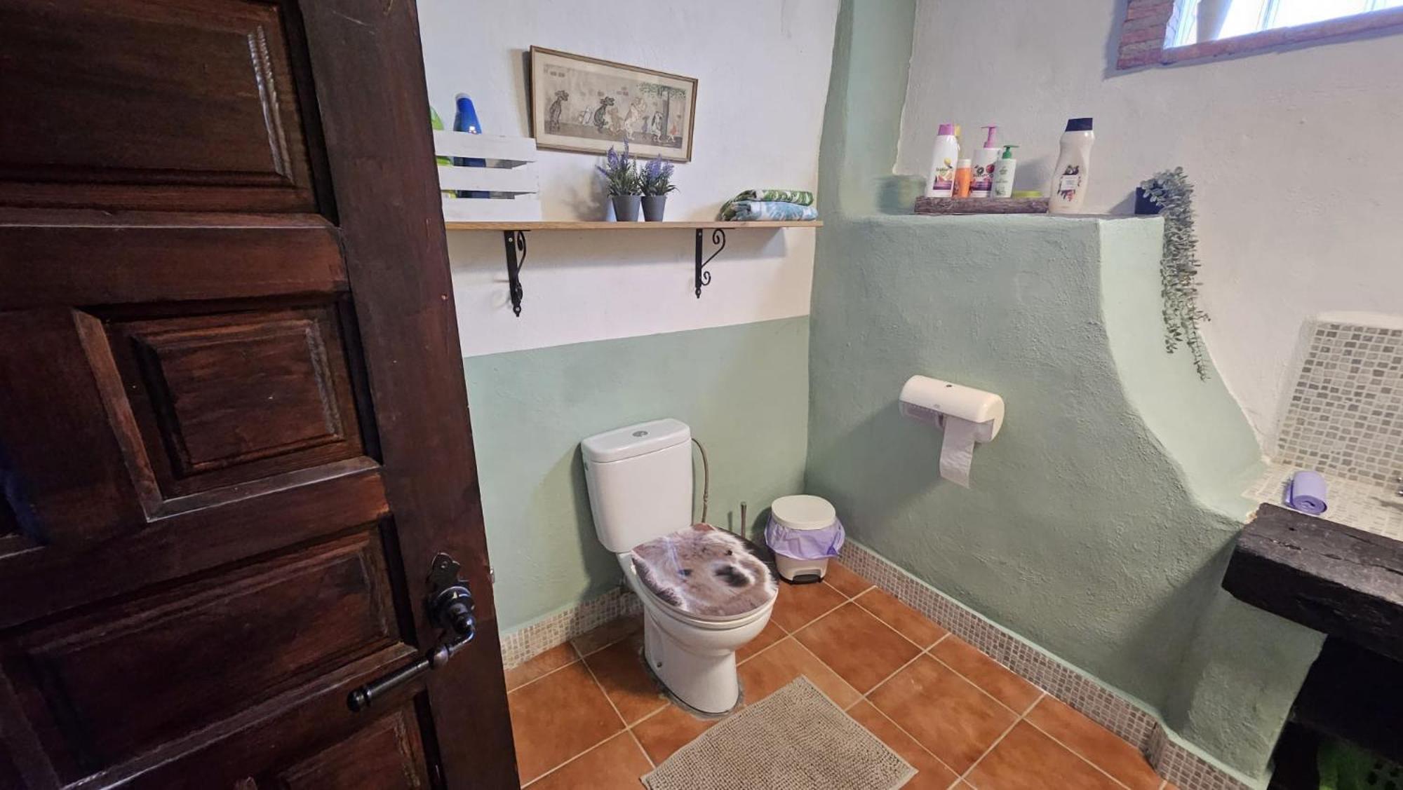 Experience Alpacas In Andalucia Appartement Córdoba Buitenkant foto